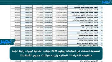 لمعرفة اسمك في إفراجات يوليو 2025 بوزارة المالية ليبيا.. رابط لجنة منظومة الإفراجات المالية وزيادة مرتبات جميع القطاعات